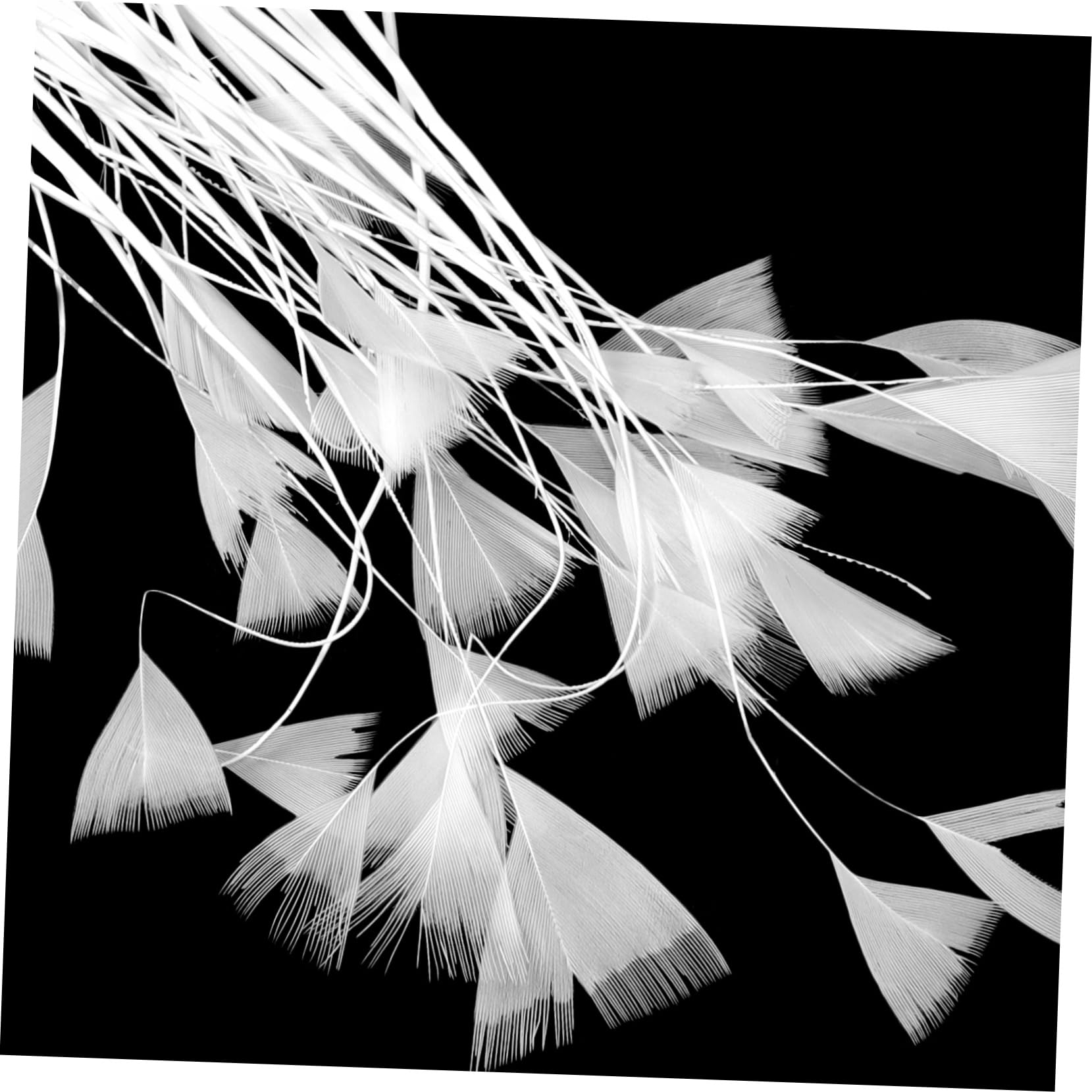DIYEAH Plumage Noël Artificielles Décoration 50pcs pour Blanches Accessoires Rustique et Mariage Fête de Photobooth et Artisanat Créatif