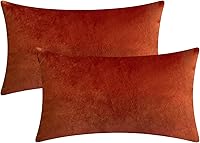 Vista 39 de Juego de 2 fundas de almohada de terciopelo para sofá y cama, 18 x 18 pulgadas, color aguamarina