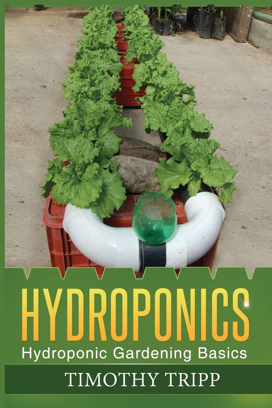 Hydroponics: Hydroponic Gardening Basics Paperback – July 8, 2013