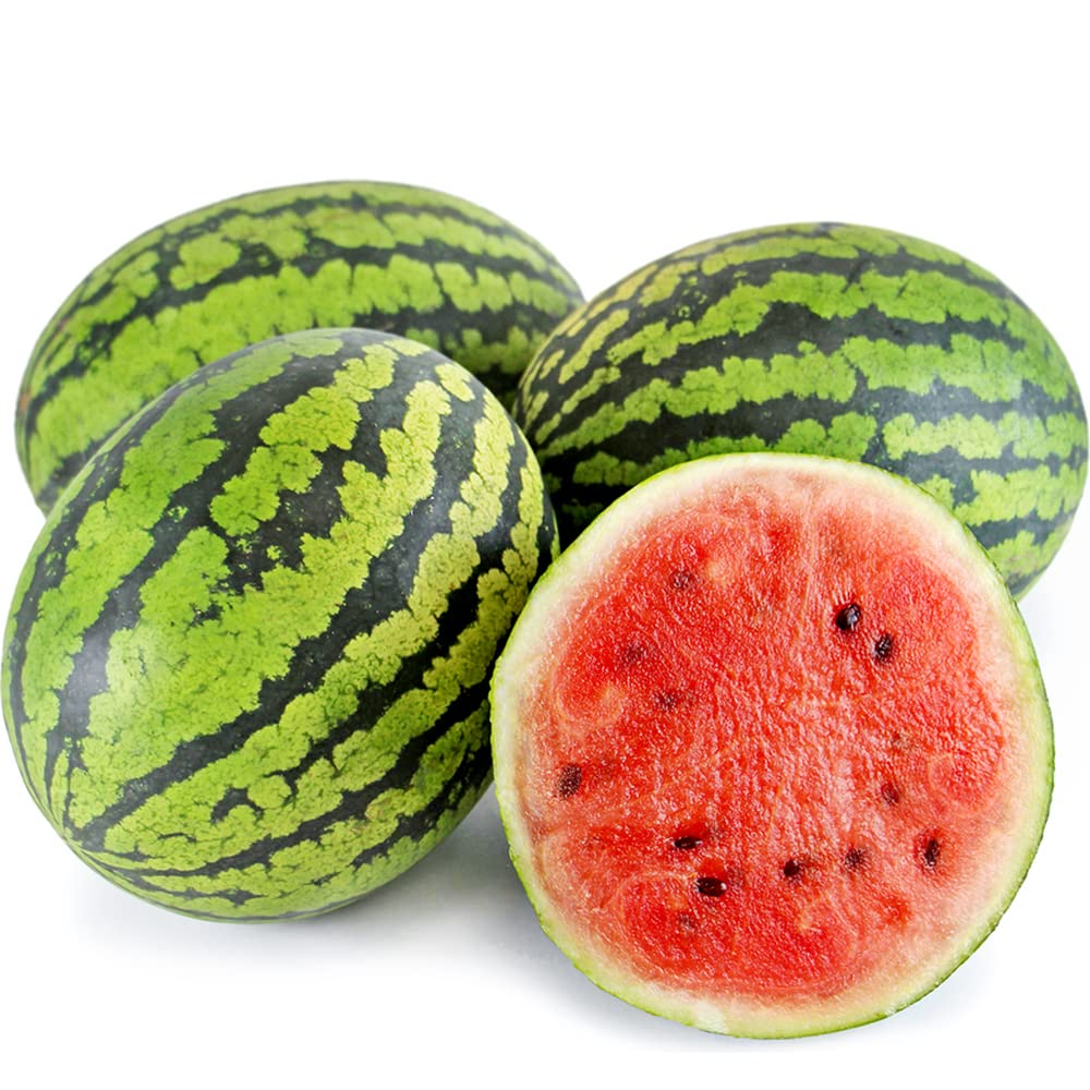 Amazon.co.jp: ITANSE スイカの苗 小玉スイカ ピノ・ガール 自