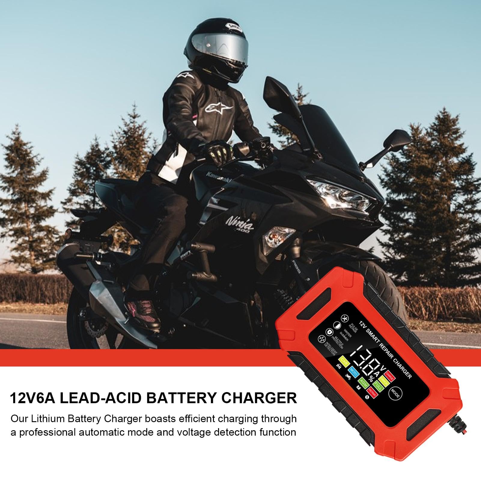 Caricabatterie intelligente da 12 V - 6 A completamente automatico gestore della batteria con compensazione della temperatura | Caricatore a goccia per moto, auto, tosaerba, barca |