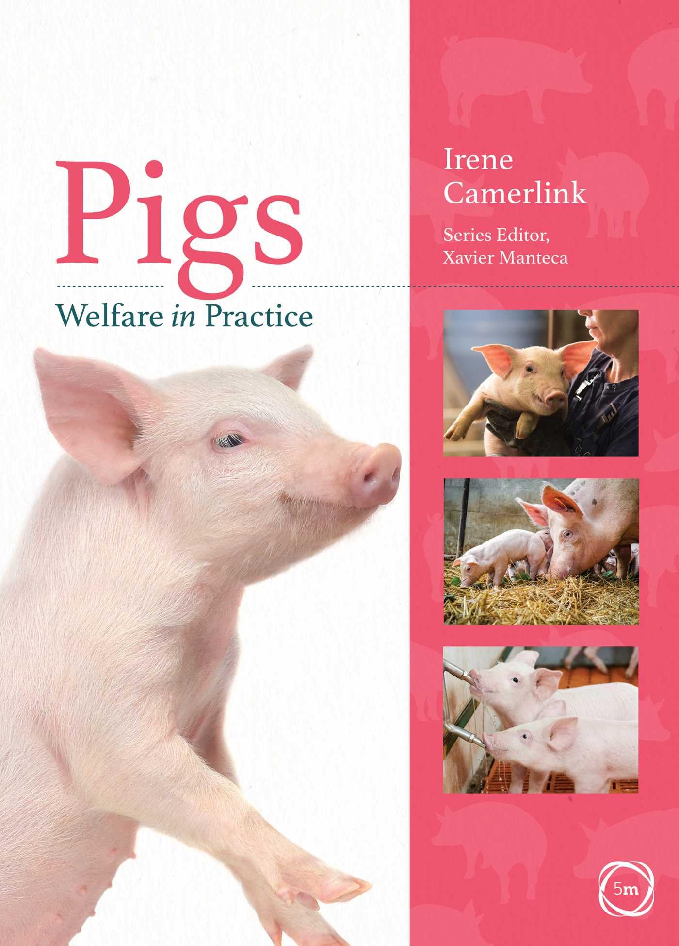 Pigs Welfare in Practice by Irene Camerlink PAPERBACK 9781789181050