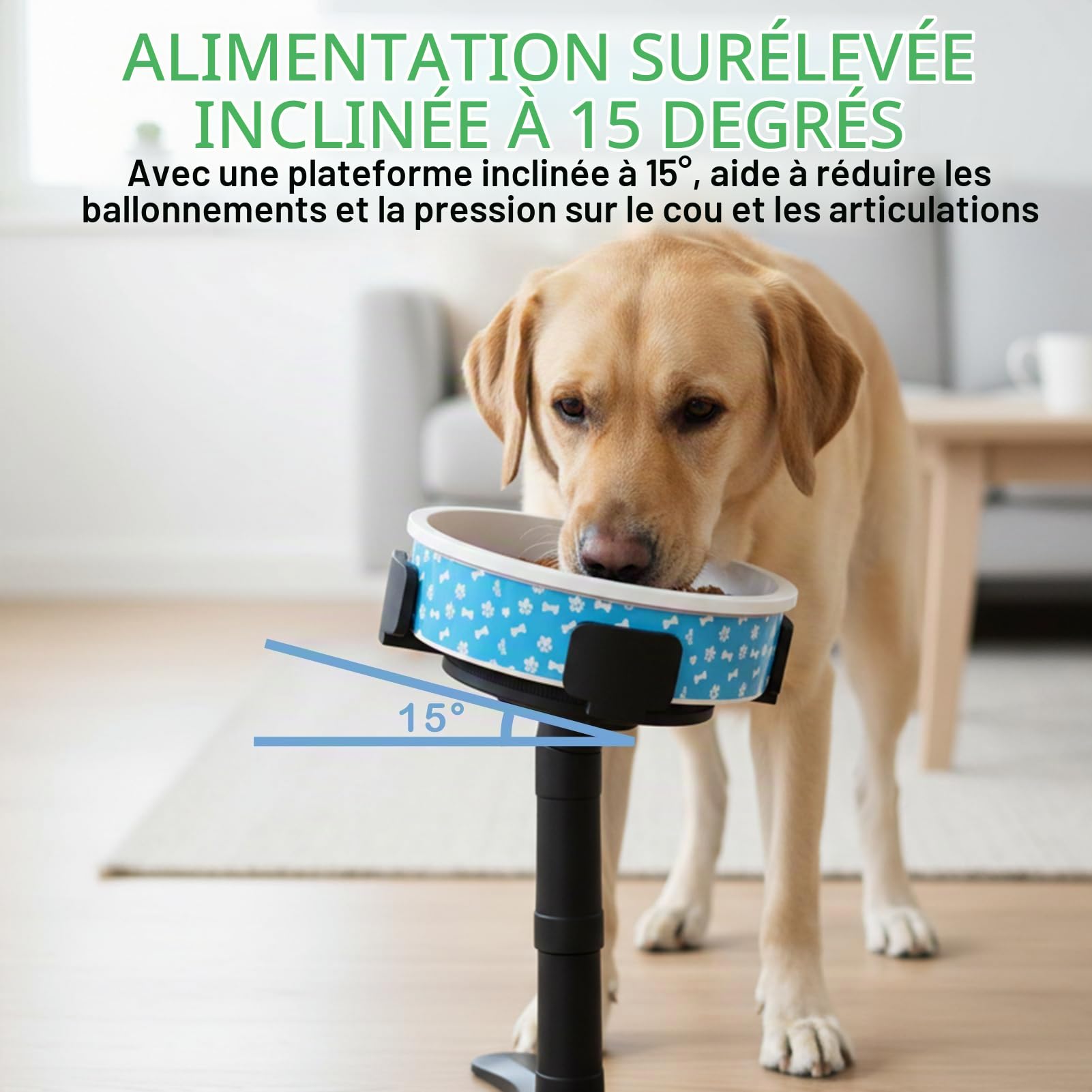 Gamelle Chien Surélevée avec 3 Hauteurs Réglables (14/24/33 cm),Support de Gamelle Inclinable 15° pour Petits, Moyens et Grands Chiens – Largeur Ajustable Universelle,Ergonomique et Stable.