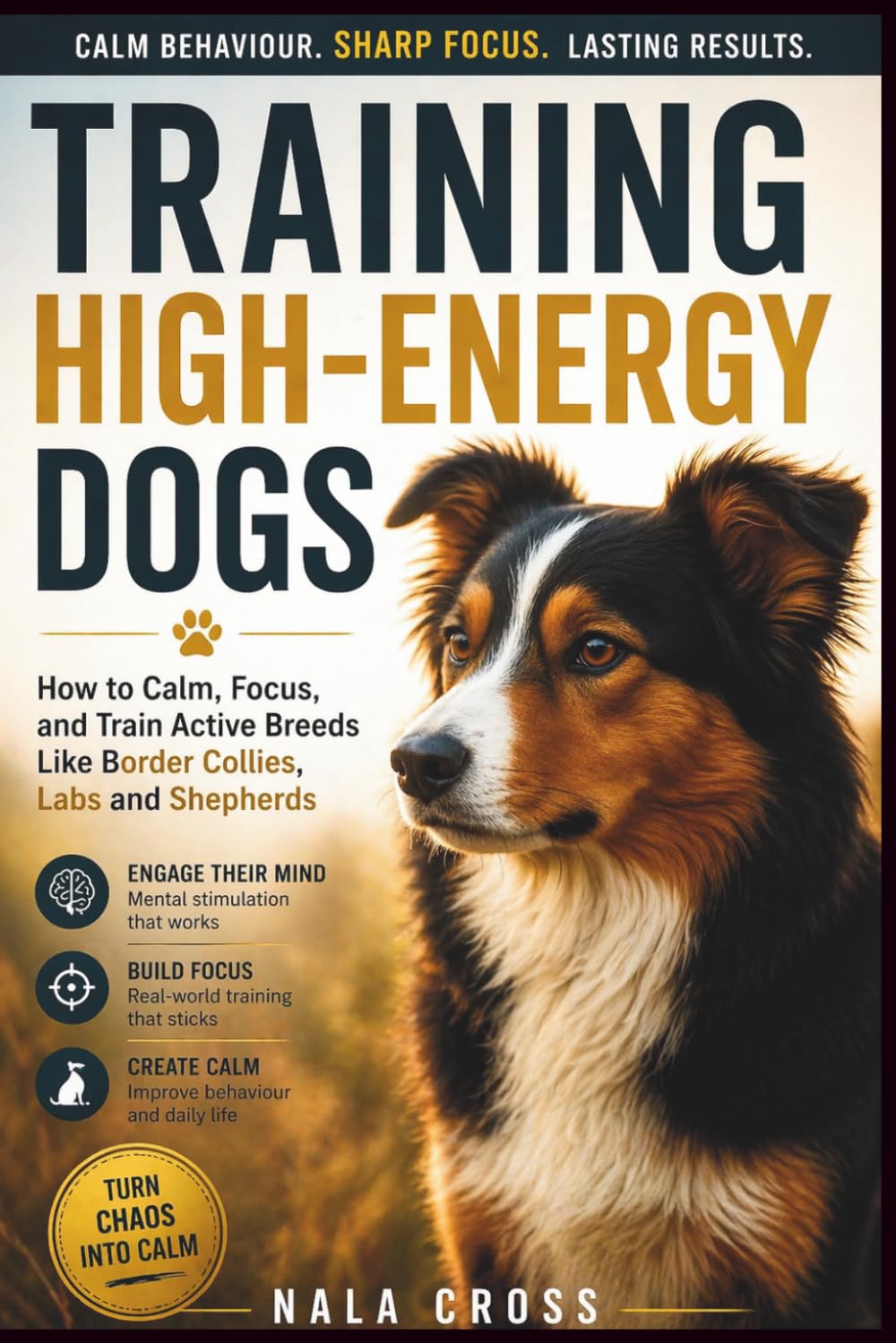 Training High-Energy Dogs: How to Calm, Focus, and Train Active Breeds Like Border Collies, Labs, and Shepherds      Paperback – March 23, 2025