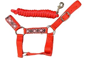 Adorable Halter and Leash Duo for Miniature Donkeys