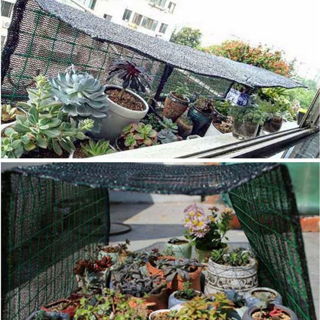 Amazon.com : 45% Shading Garden Sunshade Net Black Sun Sails Succulents  Plants Protection Cover House Sun Shelter Sun Shade Net (Color : 2x2m) :  Patio, Lawn & Garden