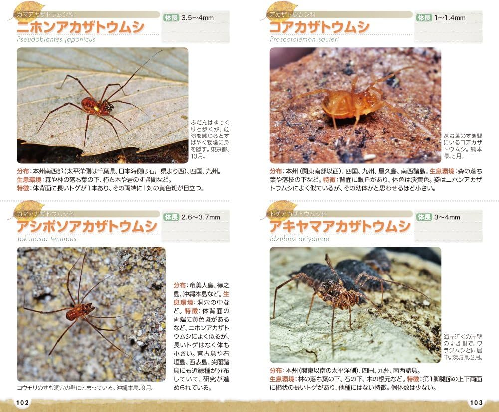 【保存版】野生動物救護ハンドブック 保存版】野生動物救護ハンドブック - メルカリ