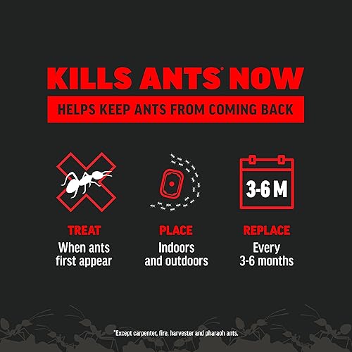 Miniatura 7 de Amdro Estacas de cebo para matar hormigas