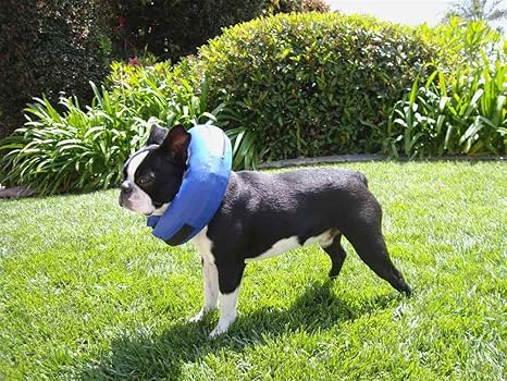 procollar premium protective collar