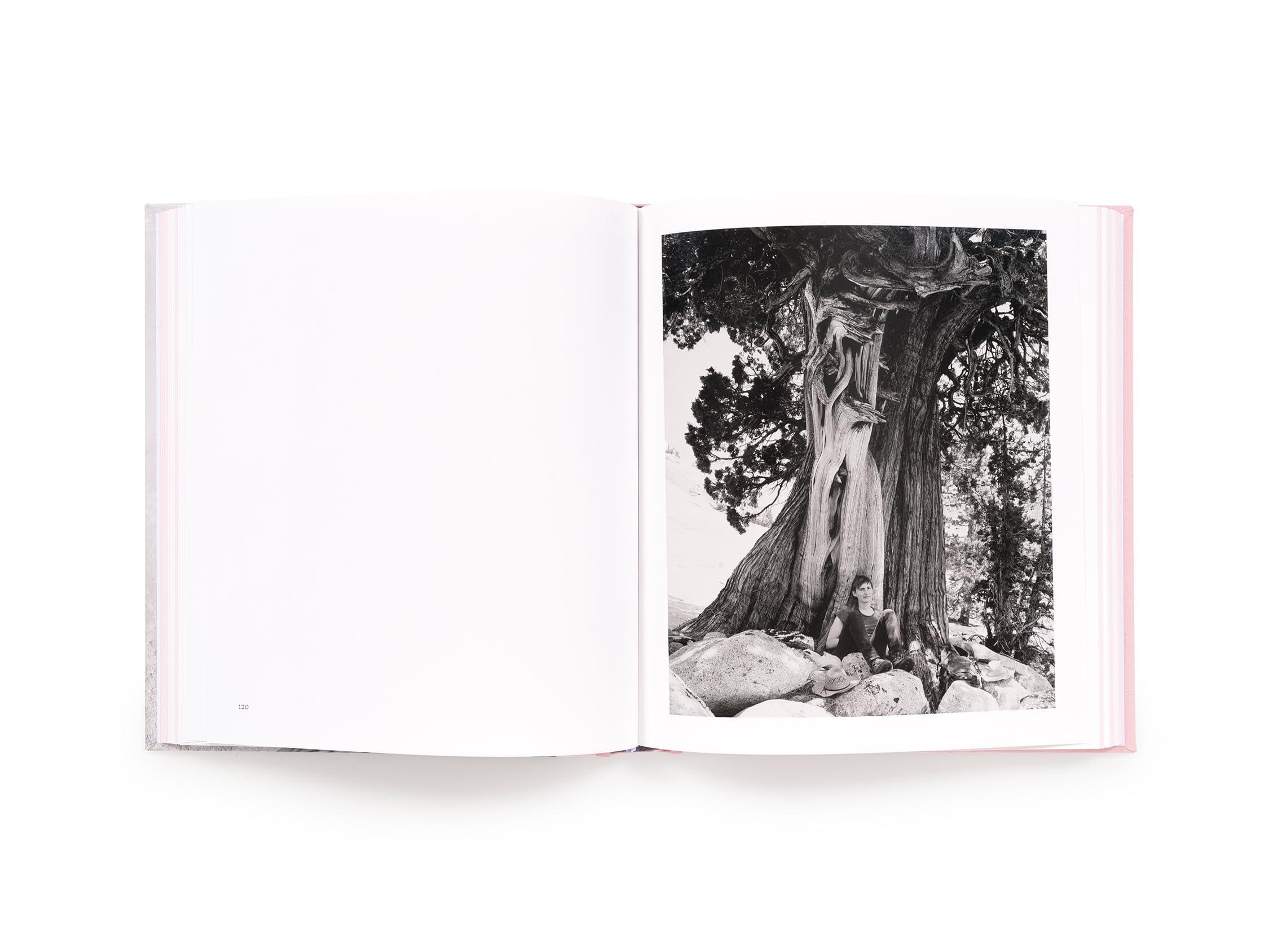Kelli Connell: Pictures for Charis