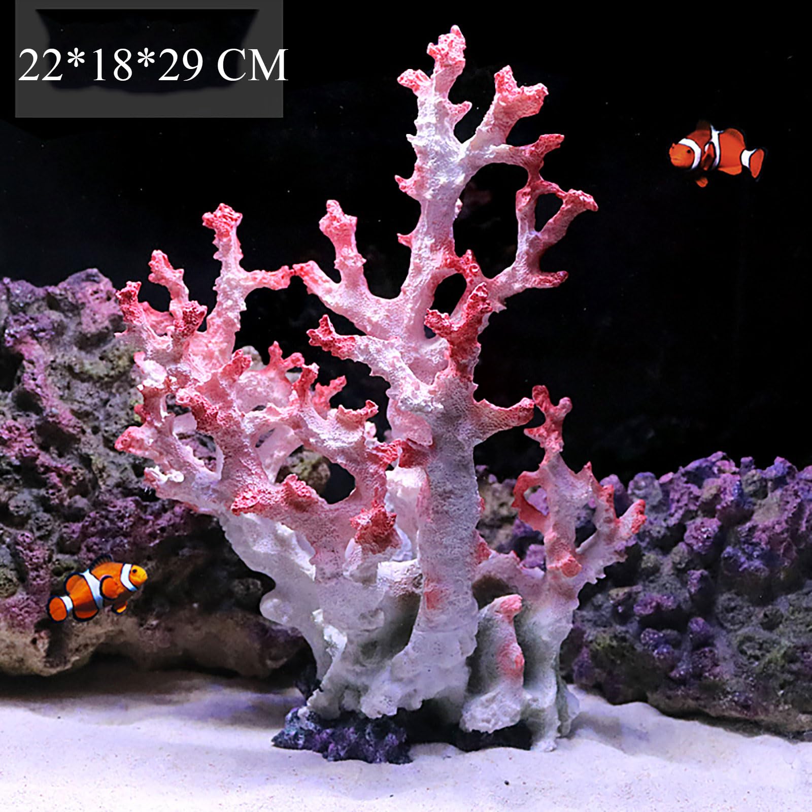 ナチュラルホワイトコーラル 水族館 造園 室内装飾品 家の装飾 石鉱物標本 Amazon.co.jp: 1個の天然白いサンゴの化石クラスタークリスタル