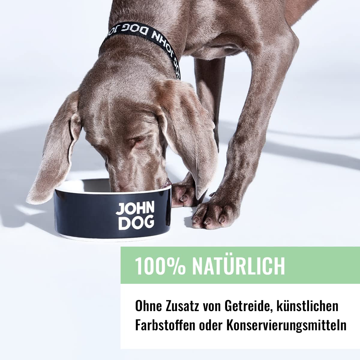 KARMA John Dog BERRY ADULT DZICZYZNA z malinami 400g*6