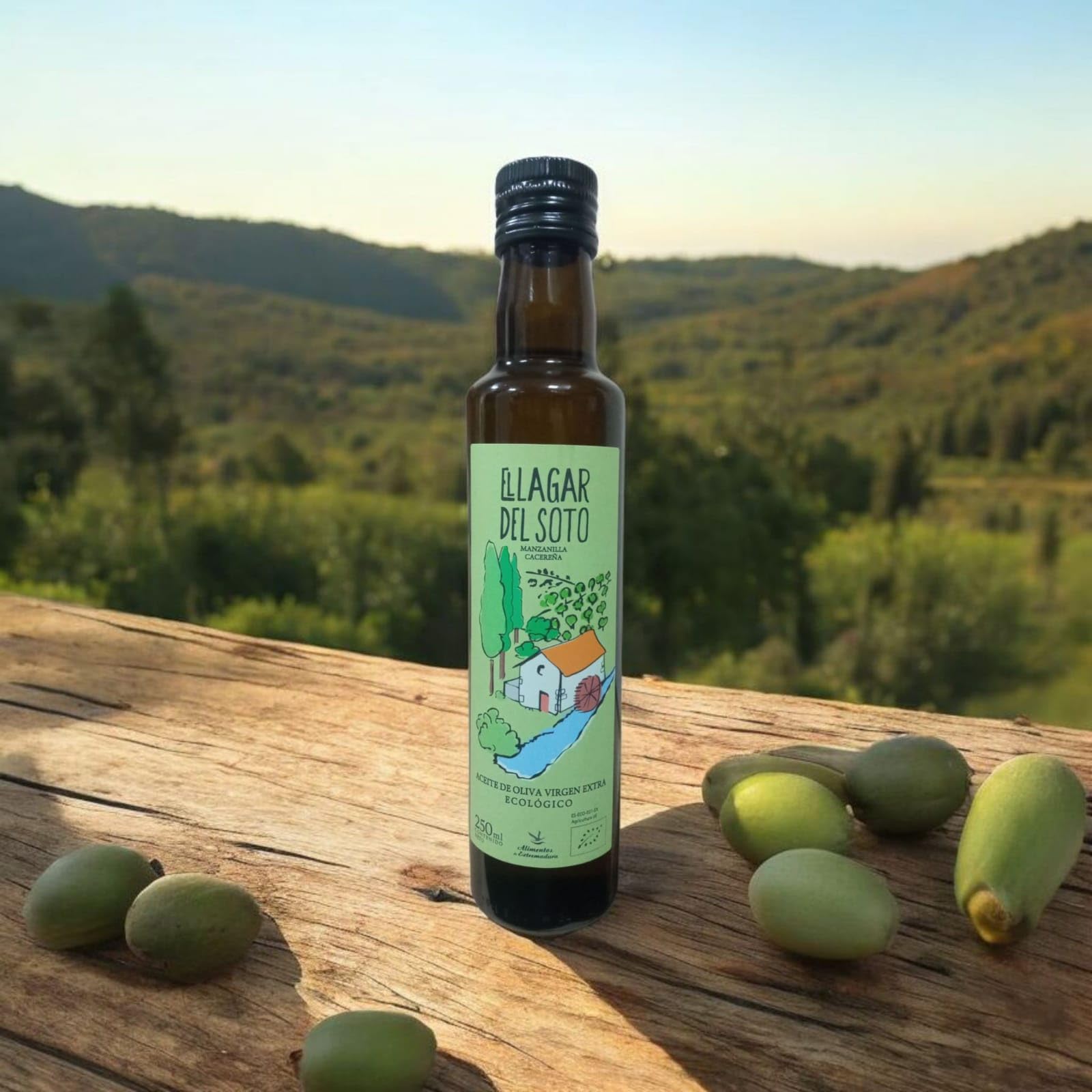 Cesta Regalo Gourmet Sin Lactosa Queso Semicurado y Natural de Cabra Aceite de Oliva Virgen Extra Miel Pura y Mermelada de Cereza Lote Artesano para Empresas Navidad Detalle Premium CORAZON EXTREMEÑO.