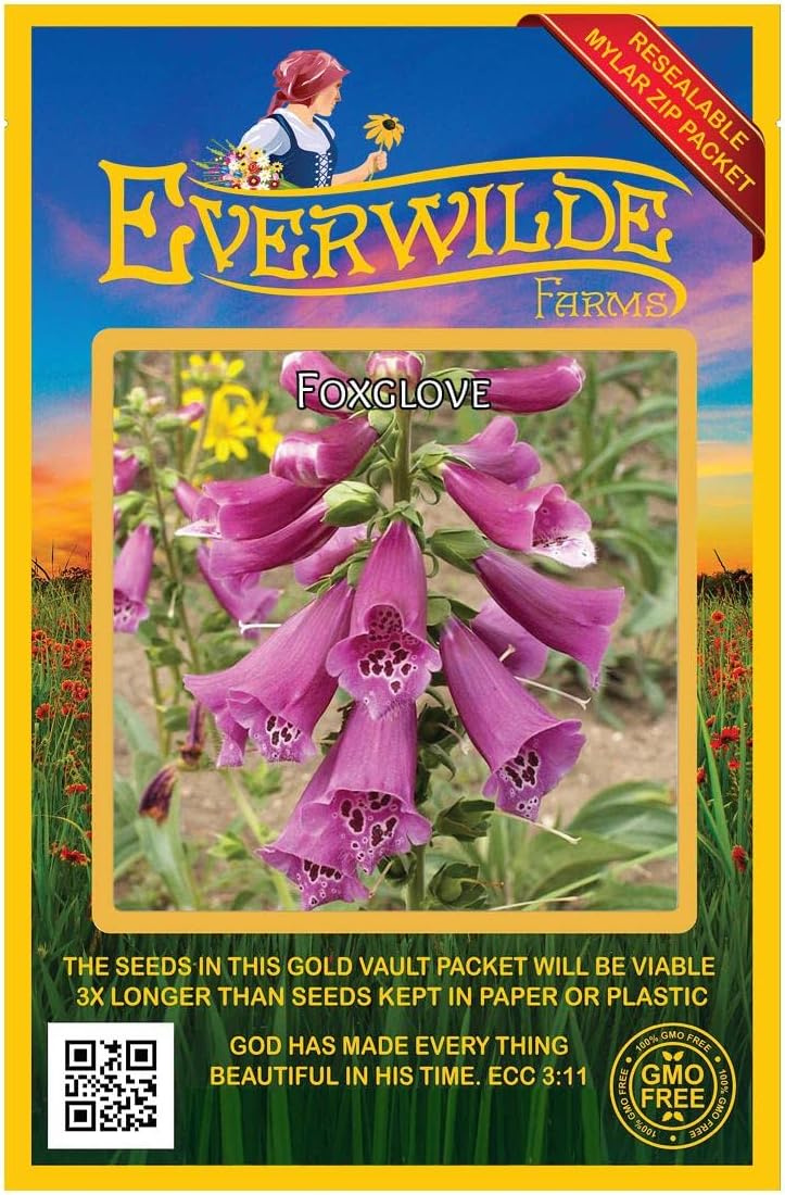 Everwilde Farms - 1 Lb Foxglove Wildflower Seeds - Gold Vault