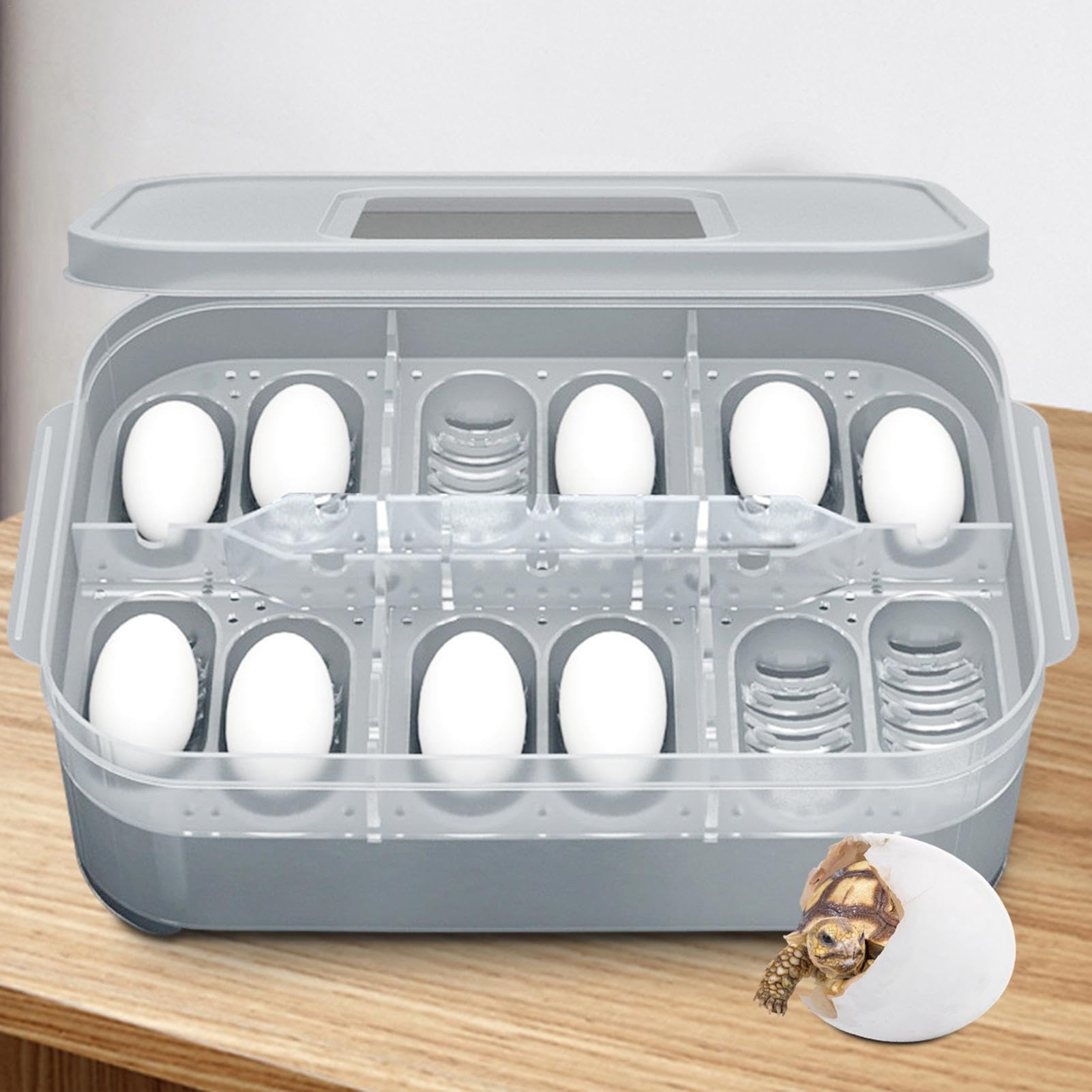Incubateur à œufs Pour Reptiles - 12 Cases Transparentes - Pour Serpents, Geckos, Tortues, Lézards - Matière Polypropylène