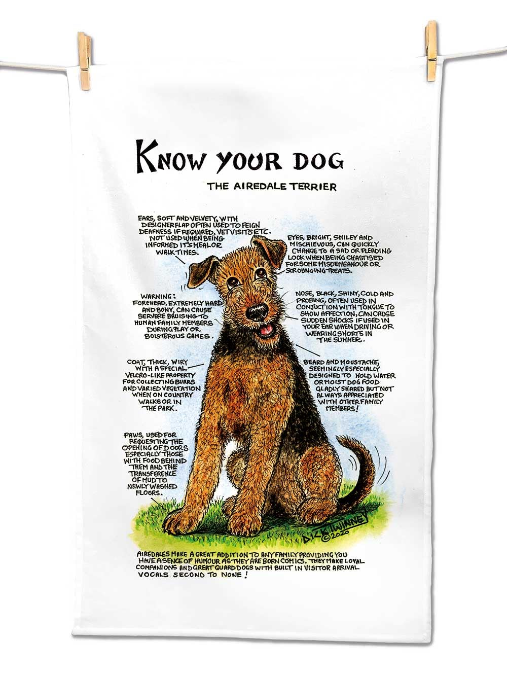 D&A Gifts Airedale Terrier Tea Towel 100% Cotton - Airedale Terriers - TT