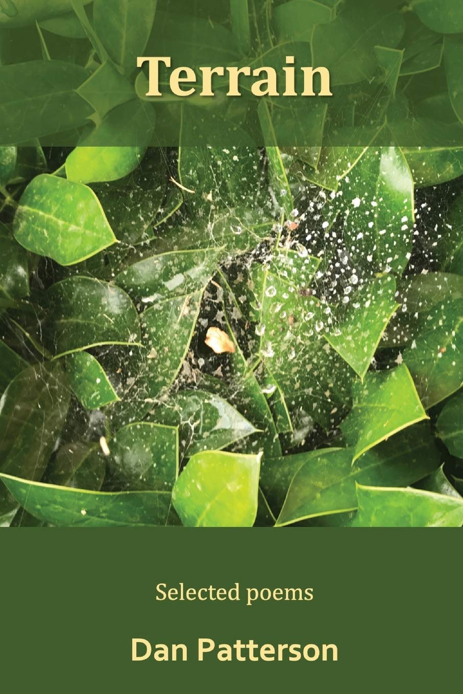 Terrain: Selected Poems