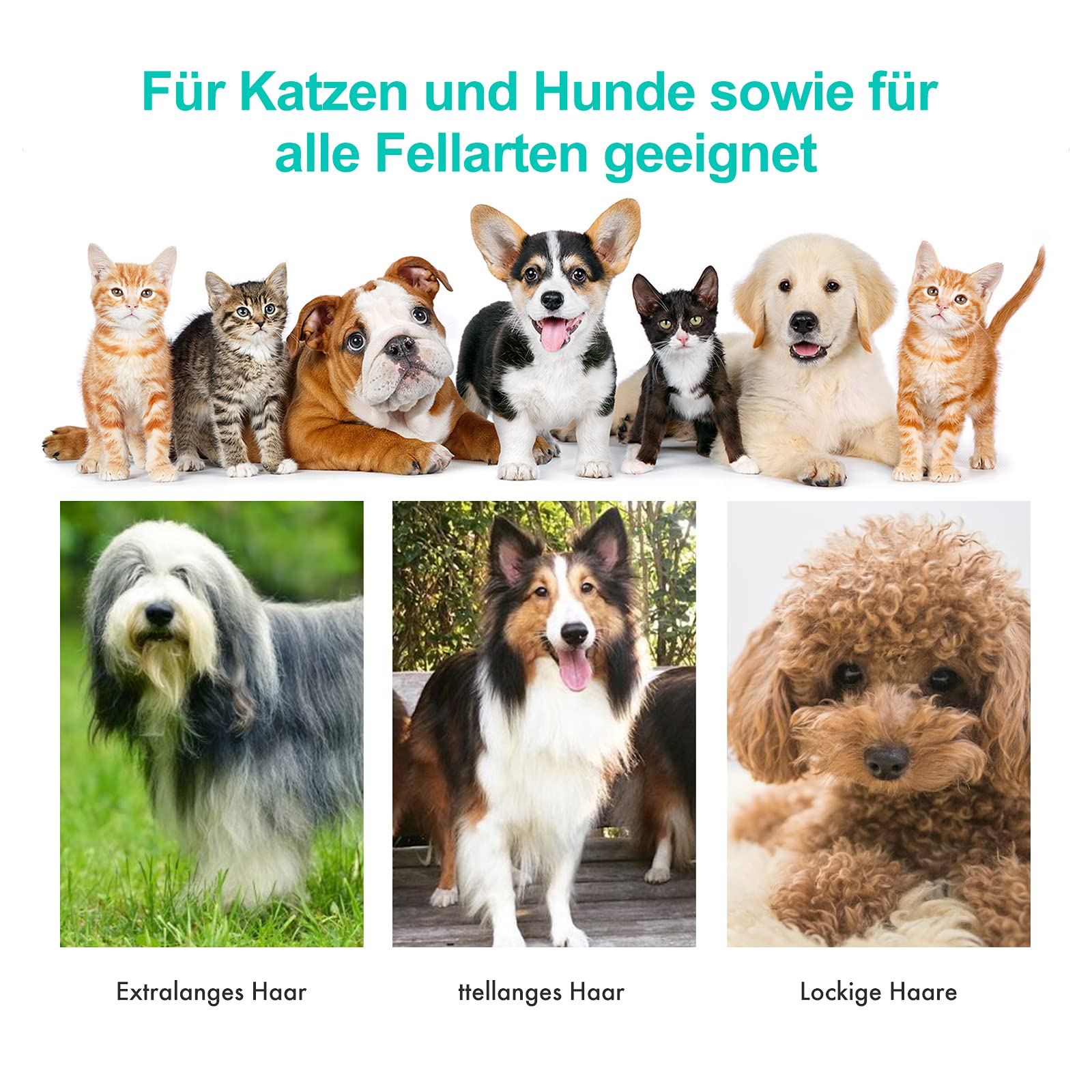 Neakasa P1 Pro Hundeschermaschine mit Tierhaar Staubsauger 13000 Pa Haustierpflegeset, leise Schermaschine Hund Katze Tierhaarschneidemaschine Tierhaarentferner, 5 bewährten Pflegewerkzeugen