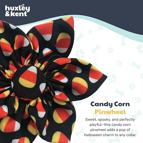 Miniatura 2 de Huxley & Kent Molinete para mascotas  Plaid-o-Lantern (grande)  Accesorio de collar de velcro de Halloween para perrosgatos  Divertido accesorio