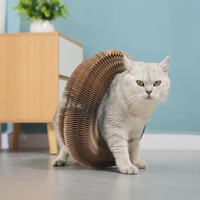 Foto 7 de 8 de Clenp Rascador de cartón para Gatos con Campana, Juguete Gatos, acordeón en acordeón