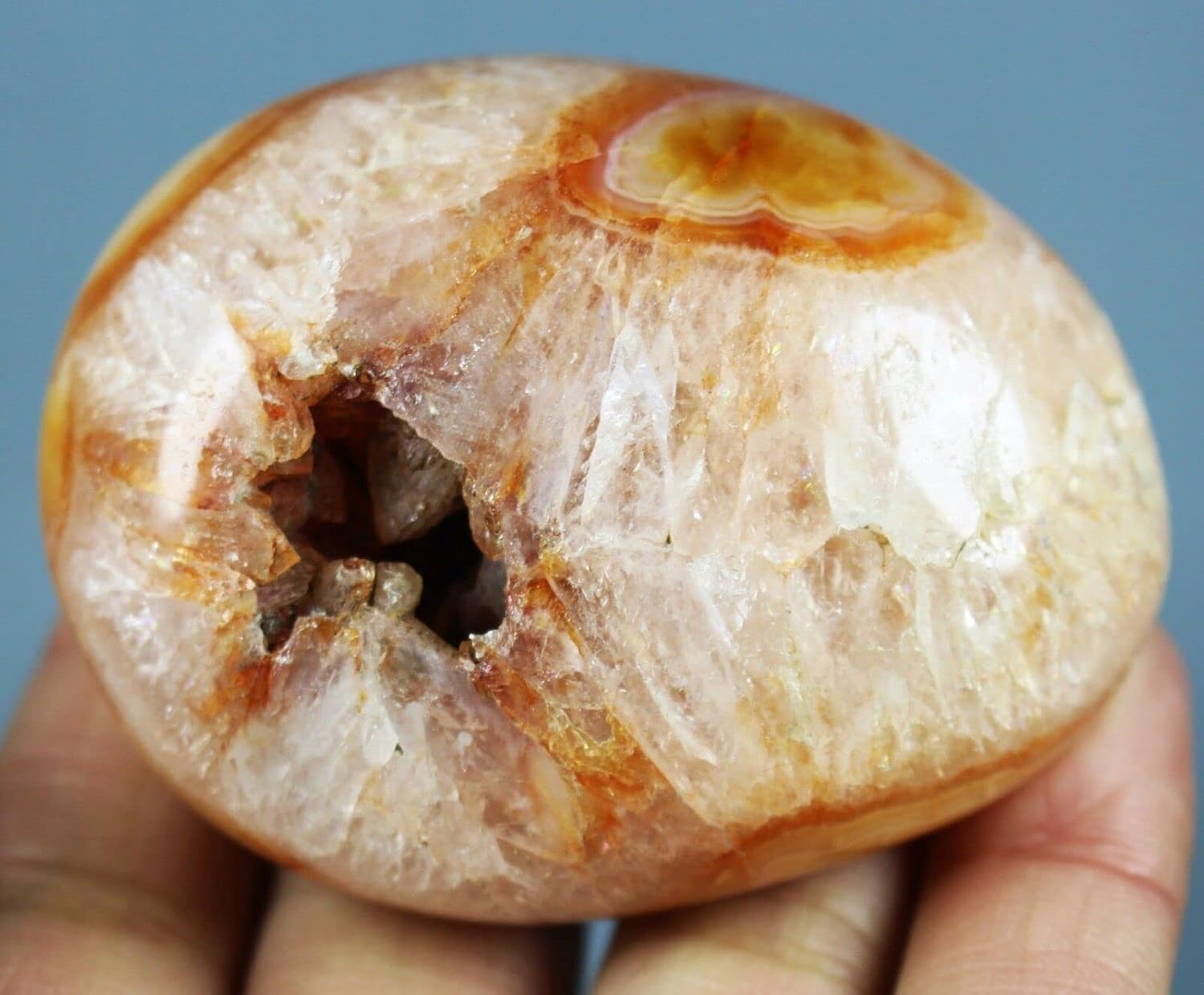 NOVAGEM Natural Red Carnelian Geode Crystal Quartz Agate Fossil Gem Specimen K5860