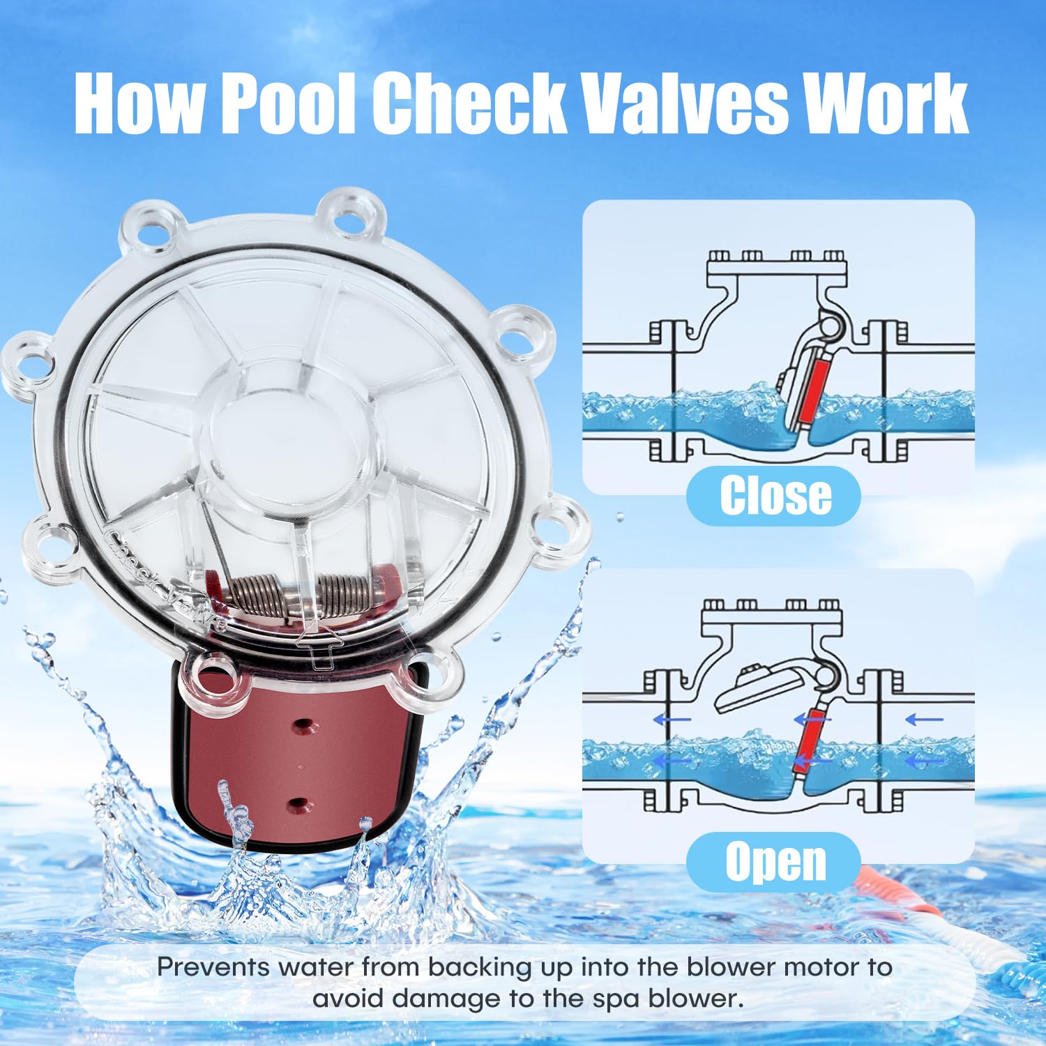 Snapklik.com : OAMCE 7056 Pool Check Valve Cover And Spring Flapper ...