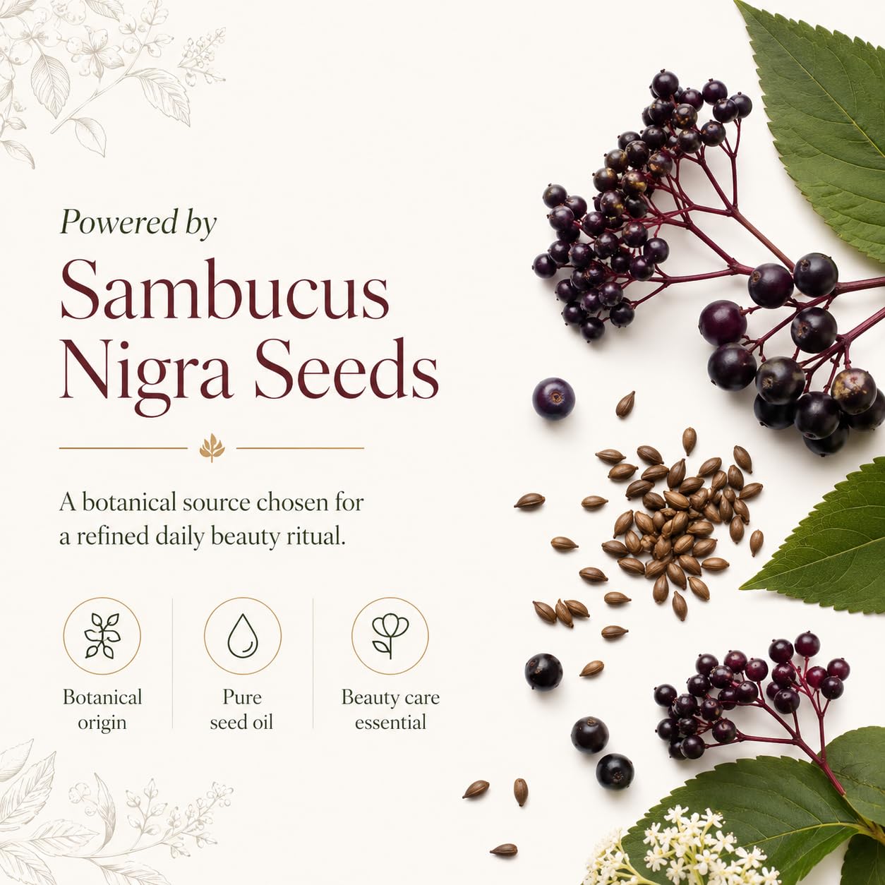 Elderberry Seed Oil, 100% Pure Sambucus Nigra Seed Extract, Cold-Pressed Lightweight Botanical Oil for Face, Hair, Skin & Nails, Daily Moisturizing Beauty Care, 4 Fl Oz