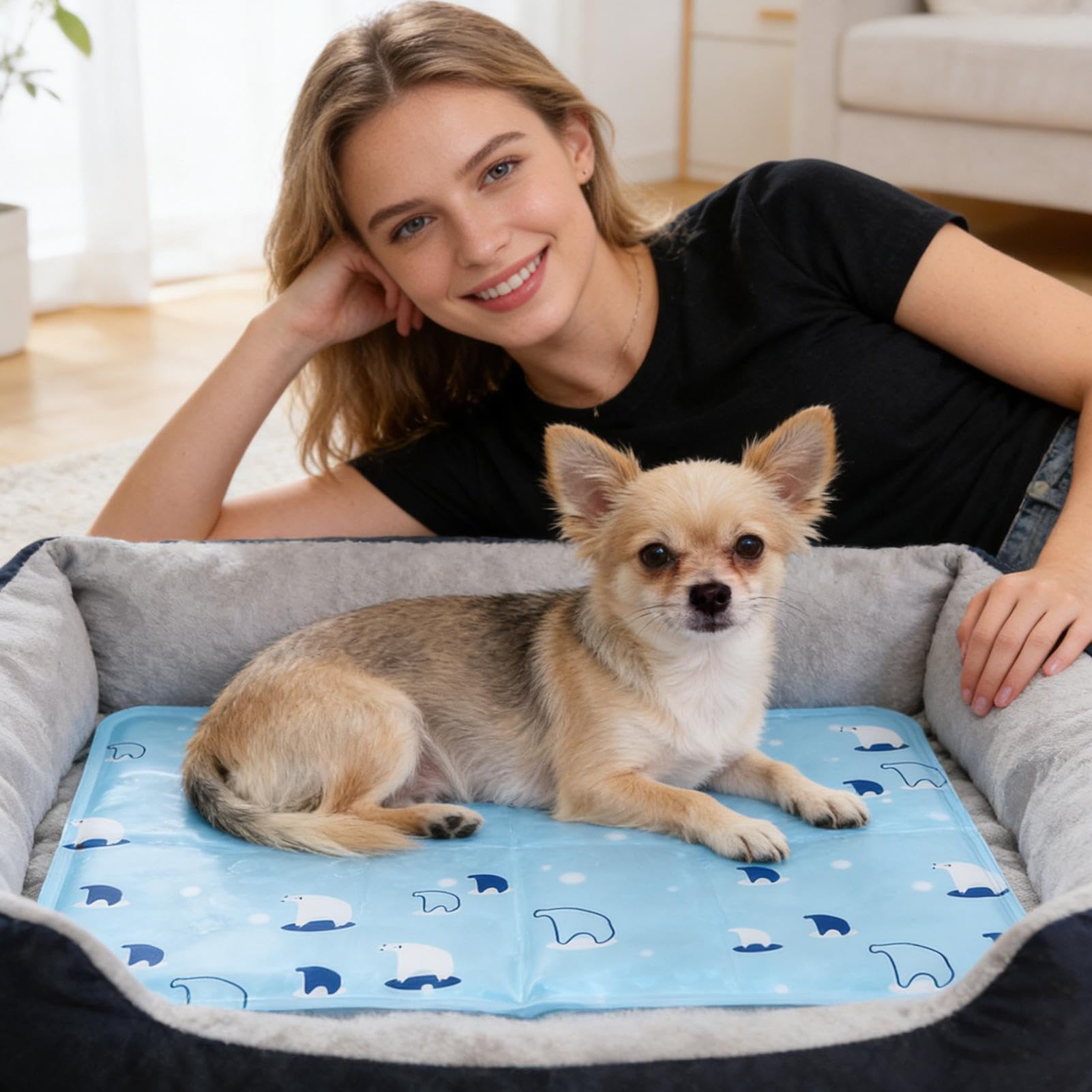 Generico Tappetino Rinfrescante per Cani Estivo Antimorso per Animali | Cuscinetto in Gel Rinfrescante per Razze Piccole e Medie, da Usare per , Campeggio, Viaggio,