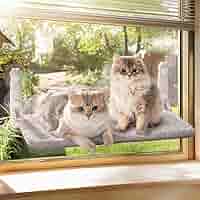 MEWOOFUN Kattenraam bedhangmat voor binnenkatten - 54 x 30 cm opvouwbare kattenraambank met omkeerbare mat, sterke zuignappen stevig houdt tot 18 kg, wit