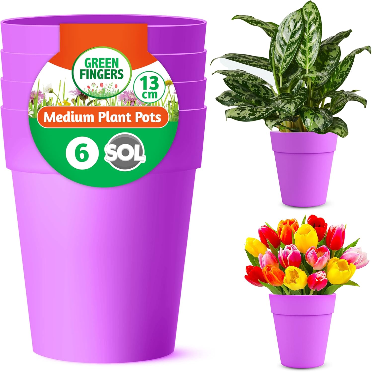6pk Purple Plant Pots Indoor & Outdoor 13cm Purple Plastic Pots