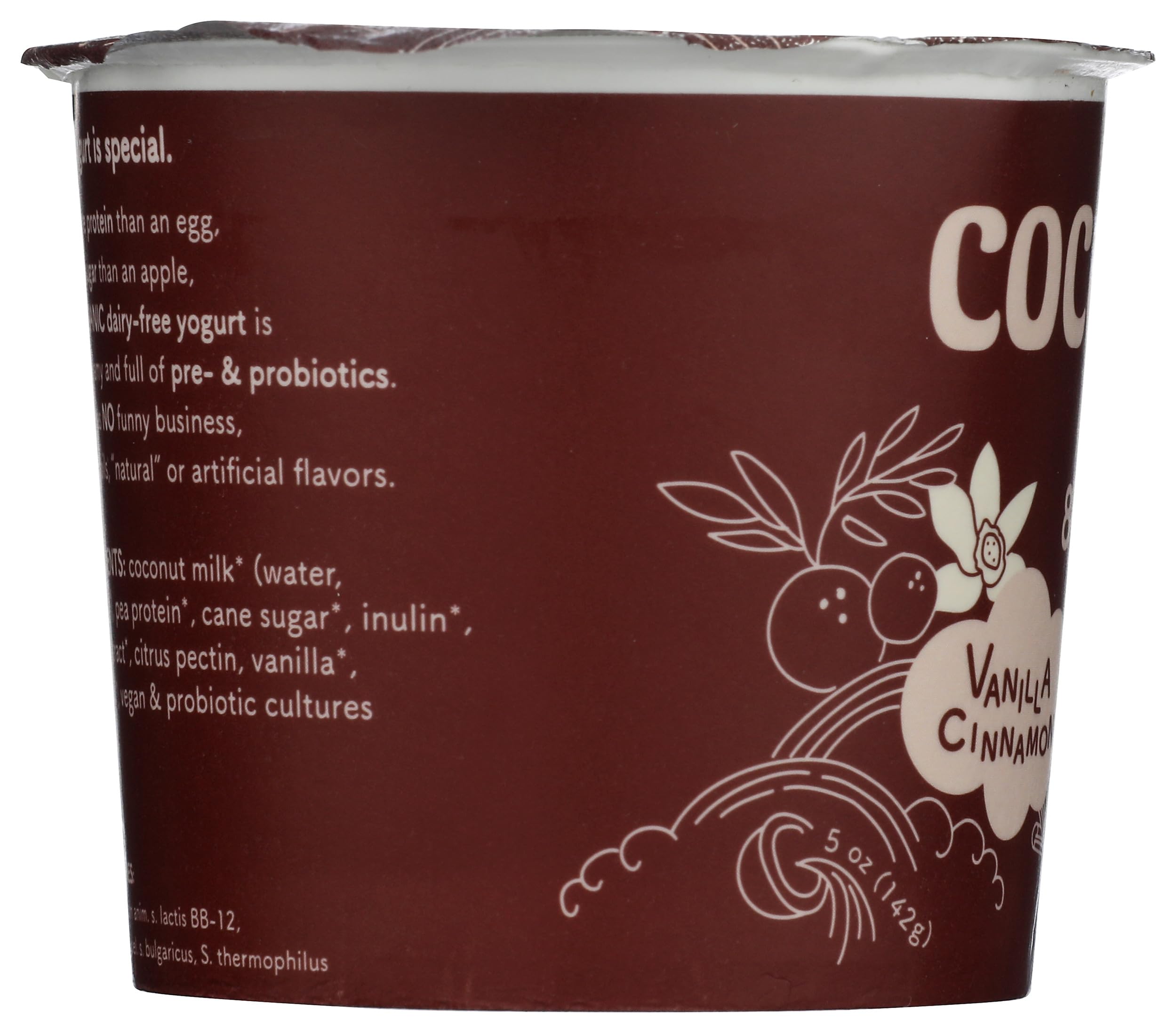 GTS Living Foods Organic Cacao Coconut Yogurt, 8 OZ | Grocery