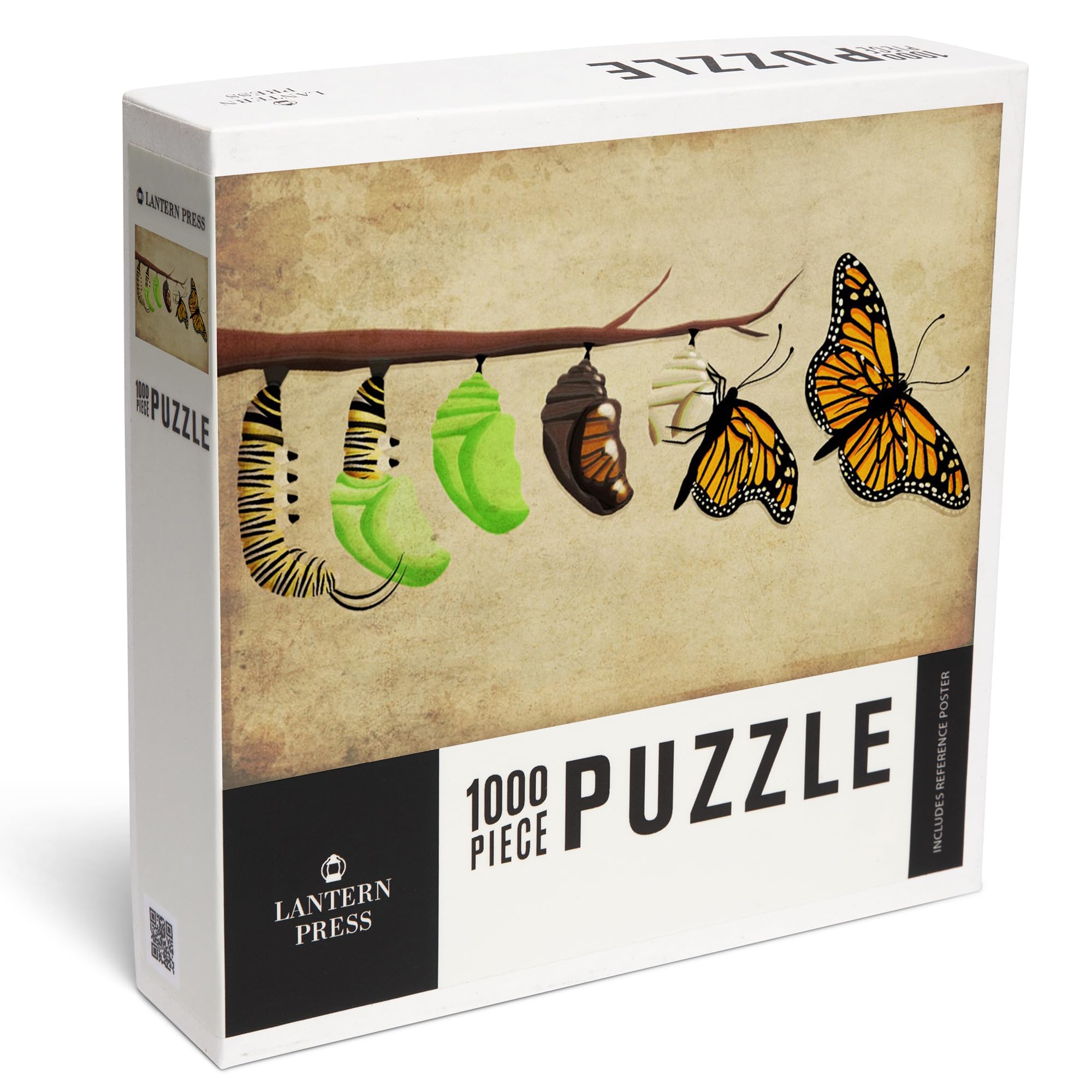 Amazon.com: Lantern Press Monarch Butterfly Lifecycle 1000 Piece