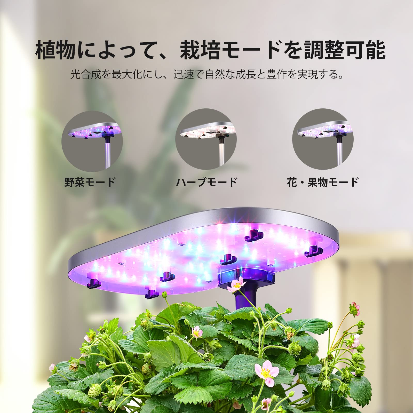 Amazon | JustSmart 水耕栽培キット 室内 水耕栽培 スマートフォン連携 