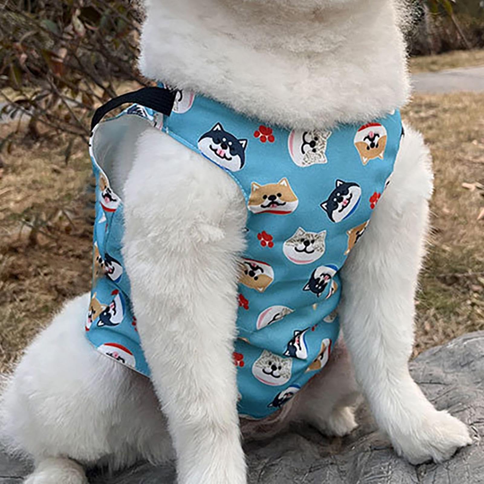 Gilet et collier rafraîchissants pour chien, bandana rafraîchissant pour chien, ensemble de manteau rafraîchissant pour chien, fournitures de refroidissement d'été pour chien