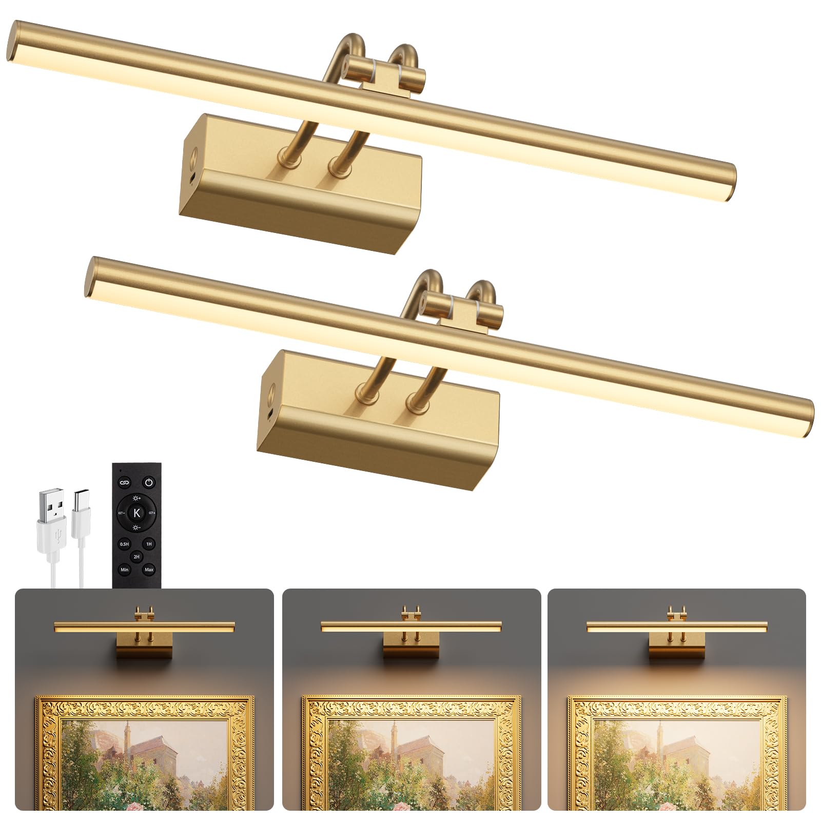 Picture Light for Wall Set of 2, Gold