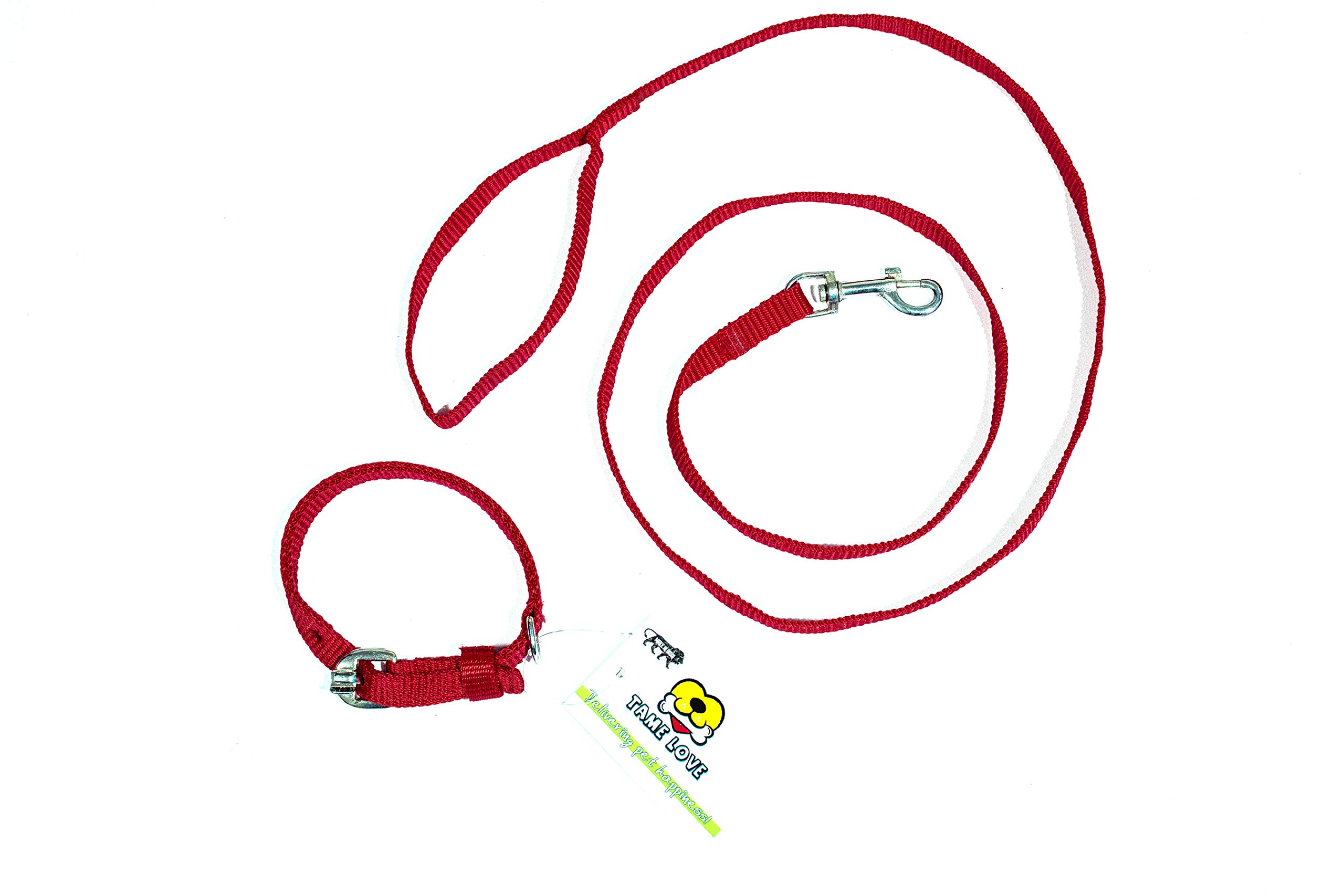 Tame Love™ Combo Choke Free and Pulling Free Padded Easy Control Adjustable Dog Collar Belts and Leash Set for Small Puppies of All Breeds (Black, 0.50 Inch) (B08F9VXLLR) Amazon Price History, Amazon Price Tracker