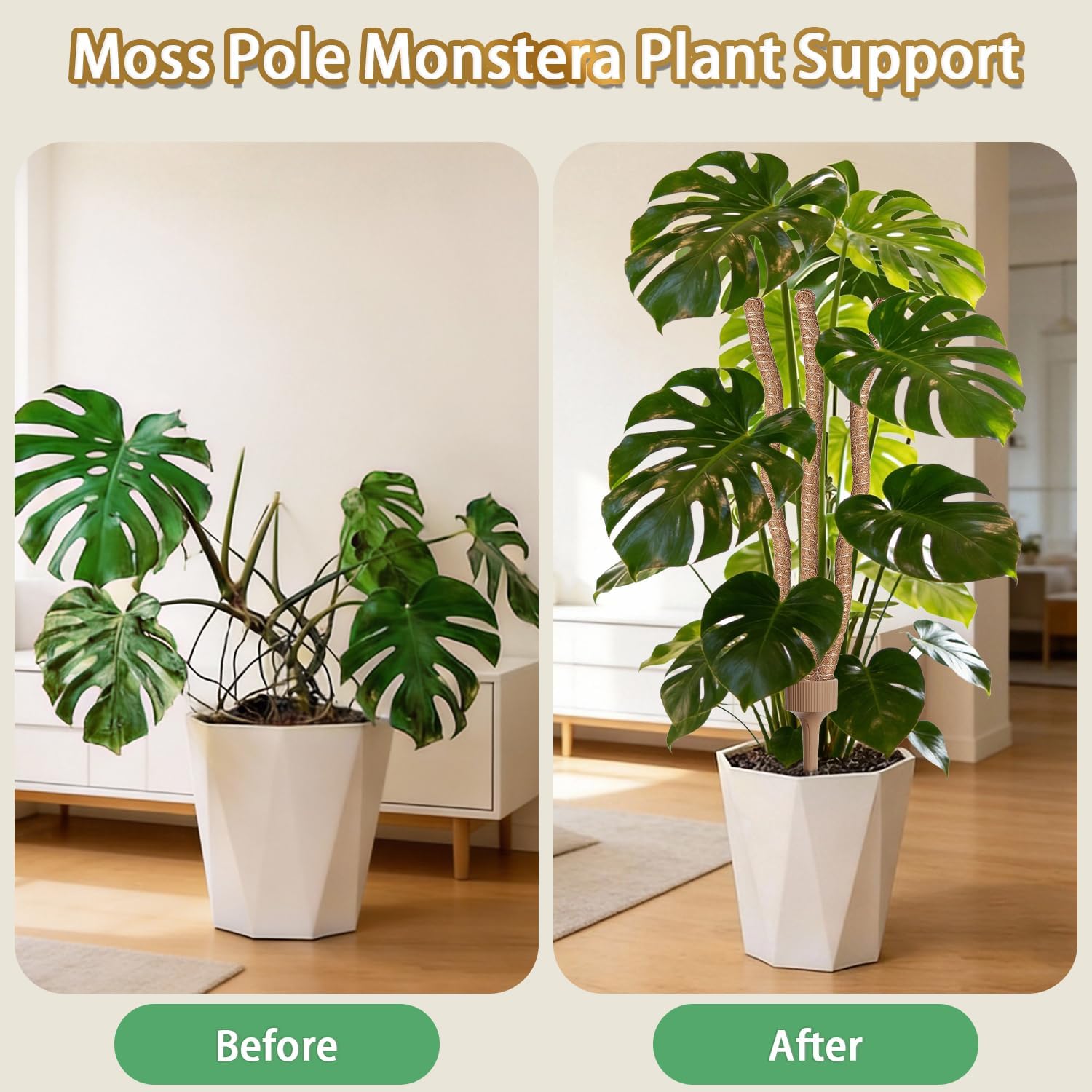 3 Moss Poles in 1, Bendable Monstera Plant Support, 30IN Tall Plant Stakes for Indoor Plants, Coir Pole Plant Support for Climbing Plants, Pothos, Philodendron-2 Pack