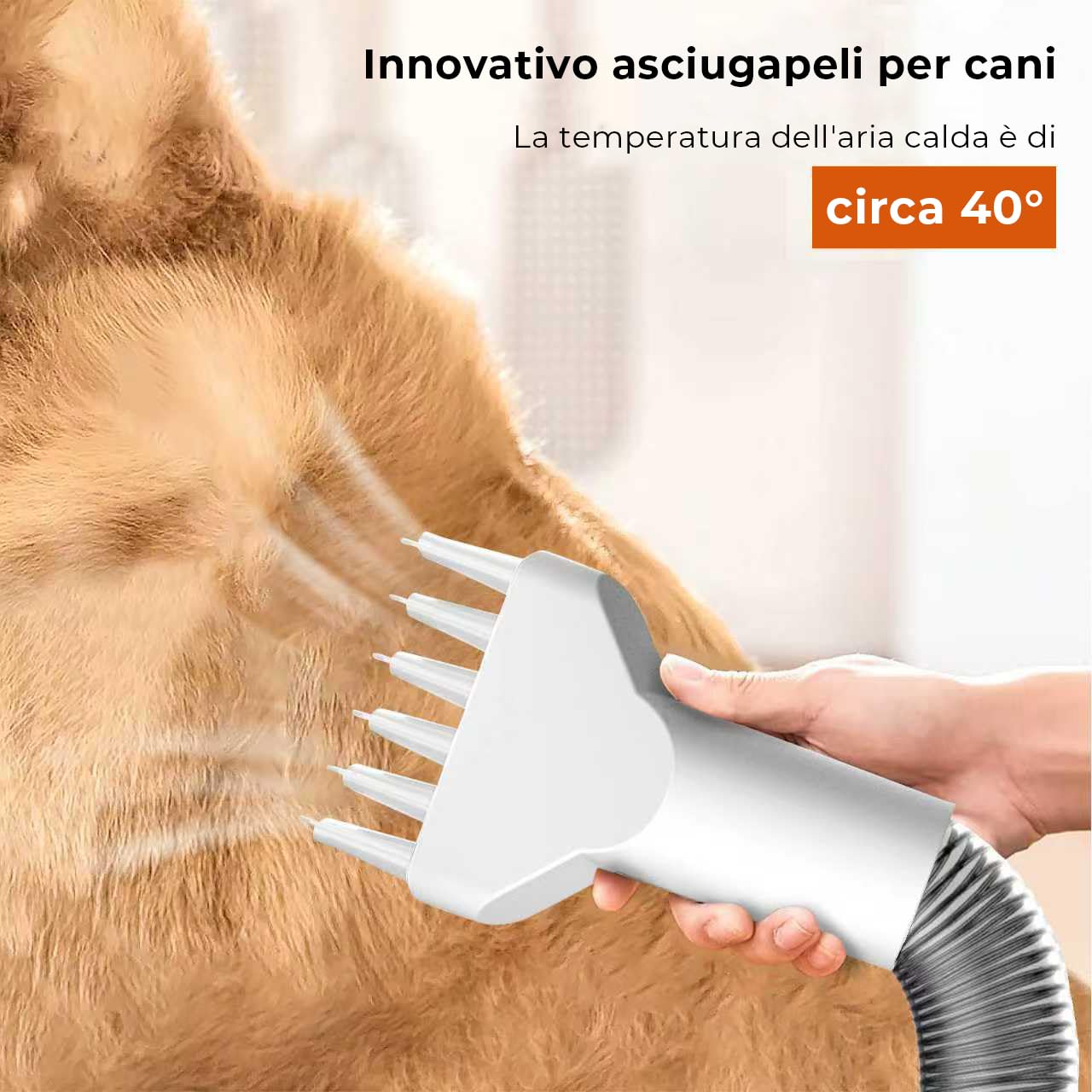CAREPET Kit Toelettatura Asciugatura e Aspira peli Cane e gatto Per Animali Domestici - Tosatrice per Cani e Gatto Pelo Lungo Professionale - Strumenti per la toelettatura Depilazione Aspira peli