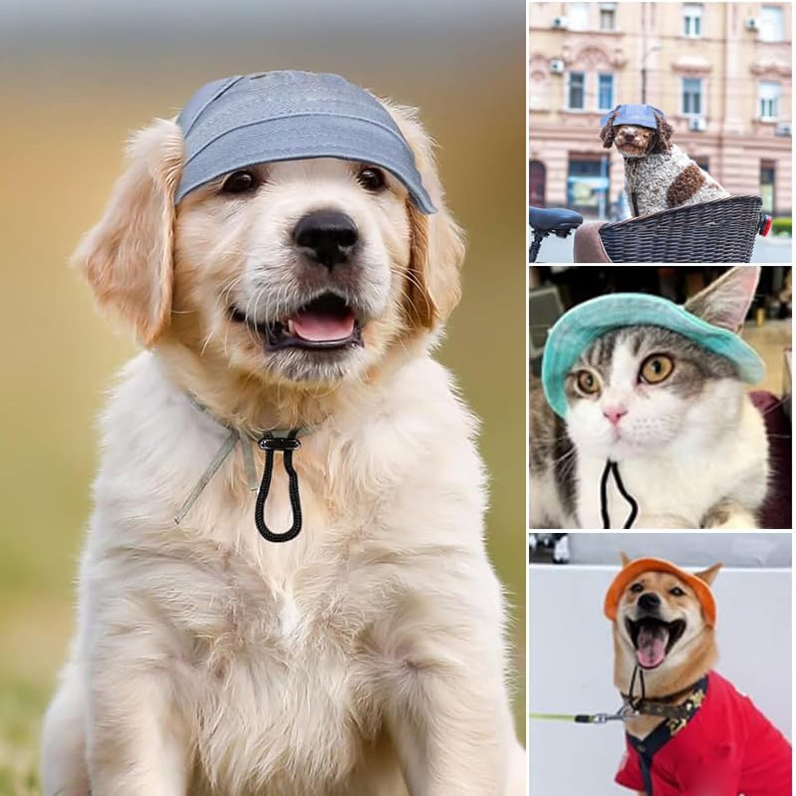 QINGYIWL Hundemütze Mit Ohrlöchern - Verstellbarer Sonnenhut Für Welpen & Kleine Hunde