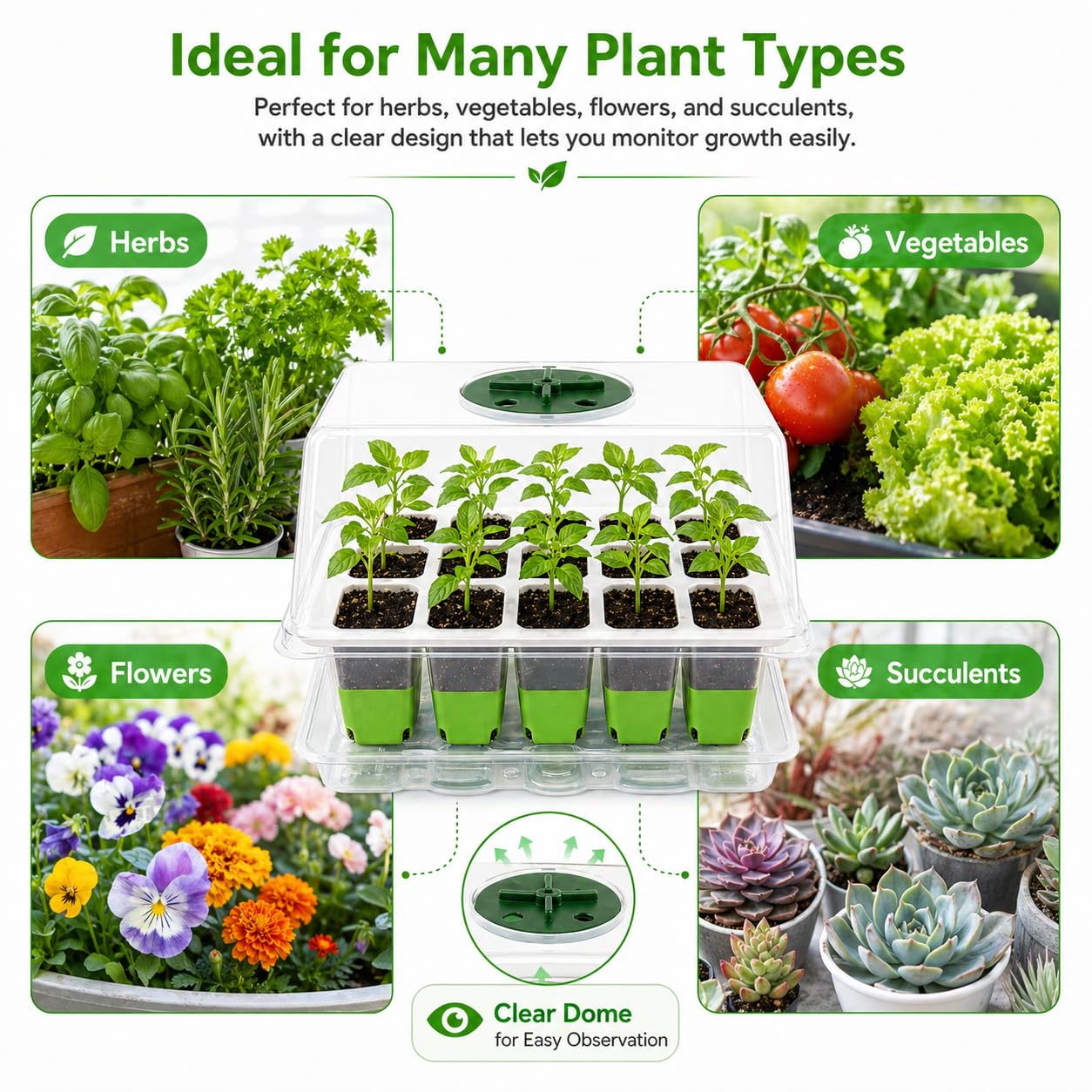 Bandejas de Semilleros,5 Pcs Semilleros de Germinacion con Luces para Plantas,Silicona Flexible Células Invernadero Pequeño Bandejas,Germinador de Semillas con Regulador De Tiempo,Humedad Ajustable