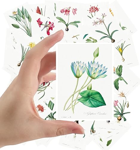 Miniatura 5 de Calcomanías grandes (24 piezas de 2.5 x 3.5 pulgadas) Flores Vintage Semillas Bolsillos Jardines Pensamientos