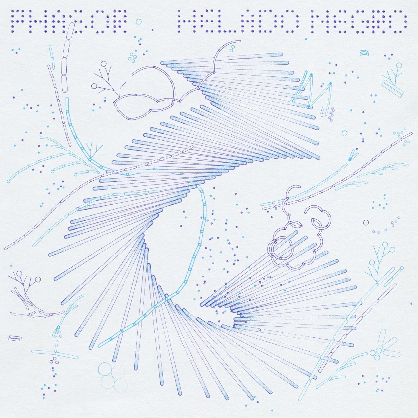 Phasor [VINYL]