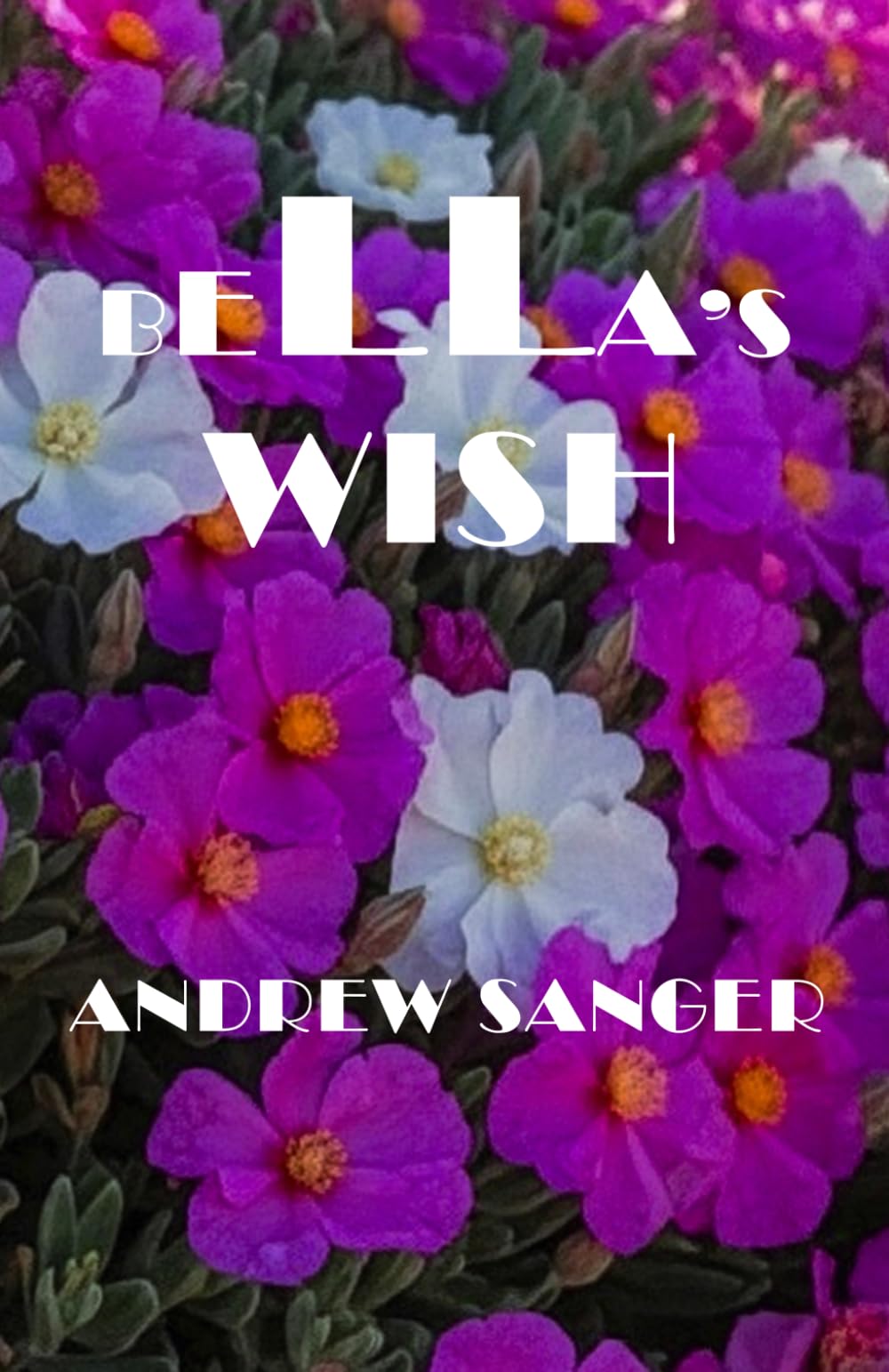 Bella's Wish
