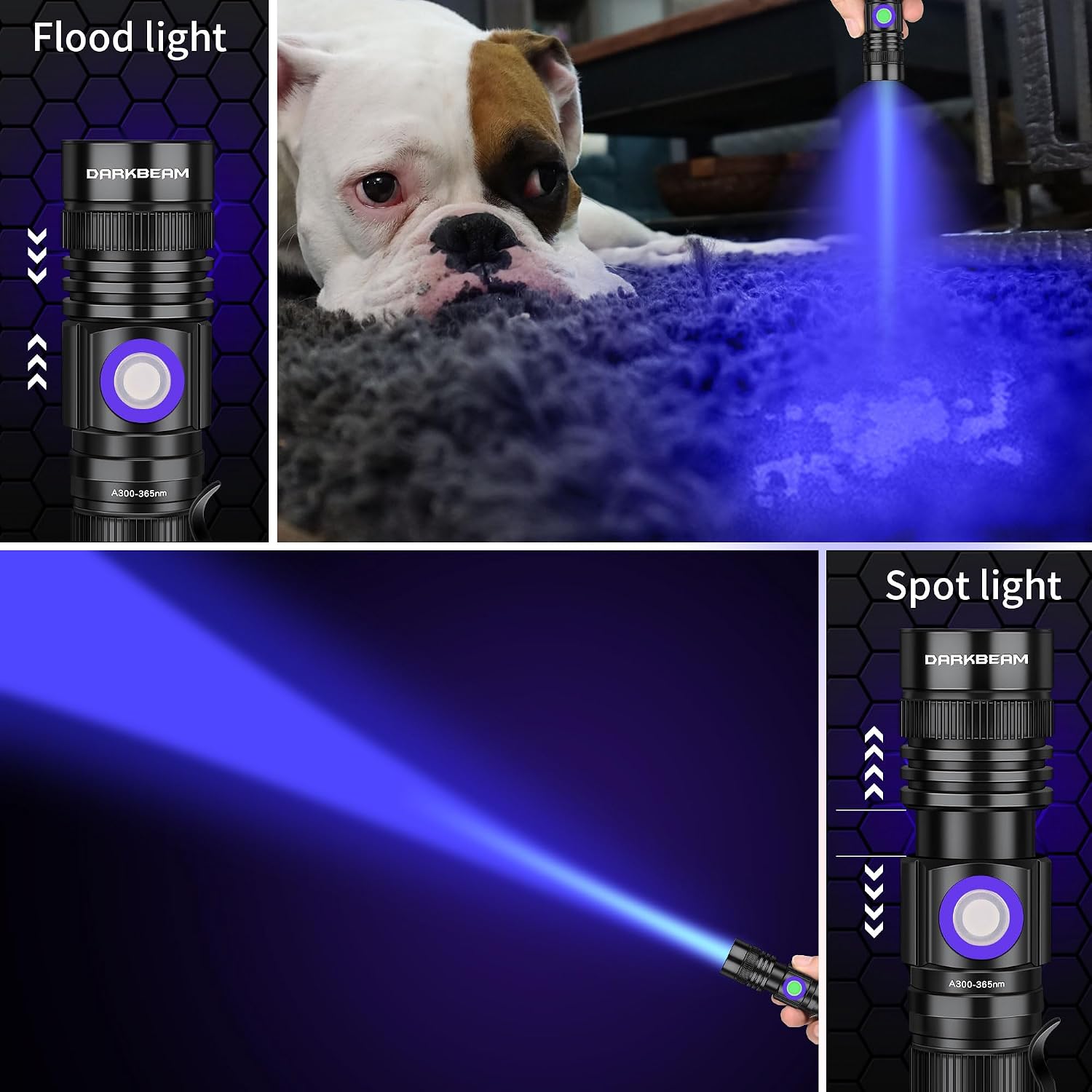 DARKBEAM UV Flashlight demonstrating adjustable focus from floodlight to spotlight, showing a dog on a carpet and a focused beam.