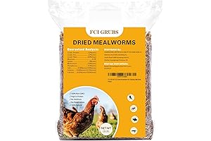 Premium Dried Mealworms for a Thriving Bluebird Diet