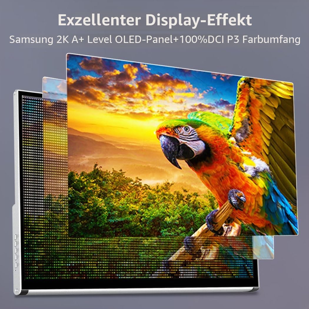 Portable Monitor Touchscreen 14“ 2K,2560x1440 100% P3 1Ms Mobiler Display,AES Stylus Pen Support,Eye Care Tragbare Monitor für Laptop,Mac NUC Mini PC,VESA & Integrierter Standfuß (13.3")