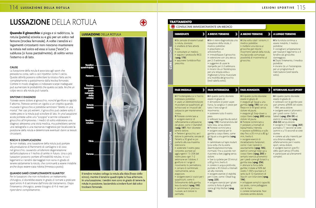 Guida alle lesioni sportive. La guida essenziale per prevenire, diagnosticare e curare gli infortuni sportivi