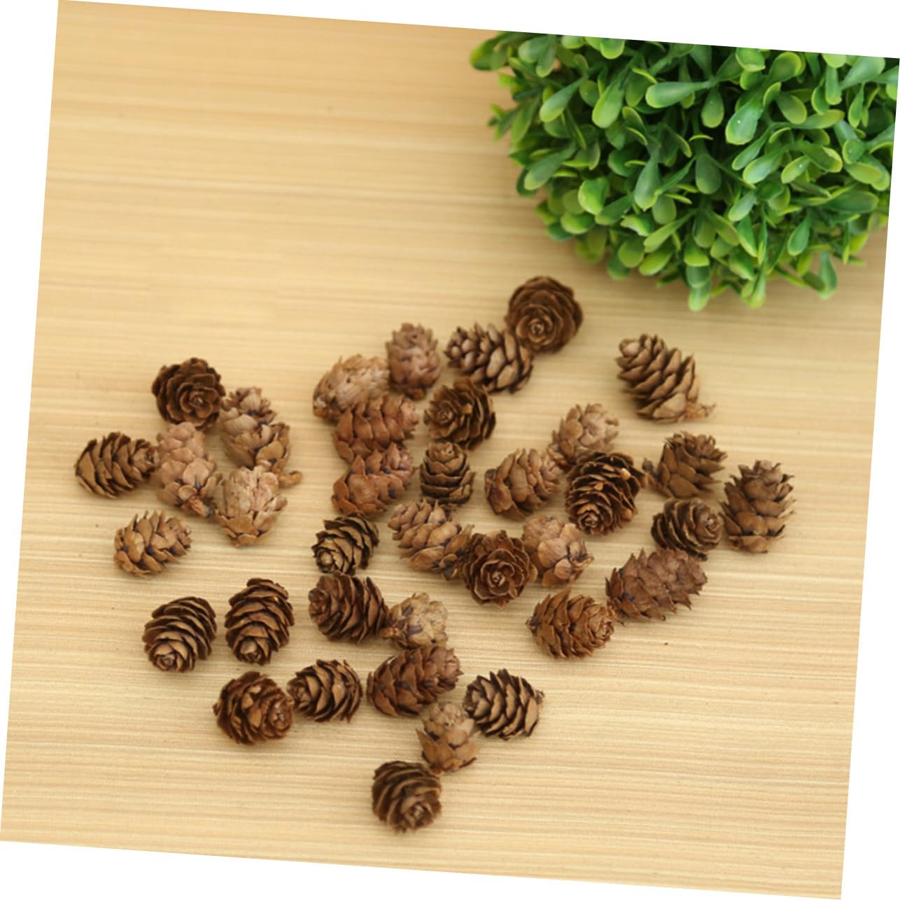 210 Piezas Mini Piñas Naturales Decoración Rústica Hogar Navidad Acción de Gracias Manualidades Plantas