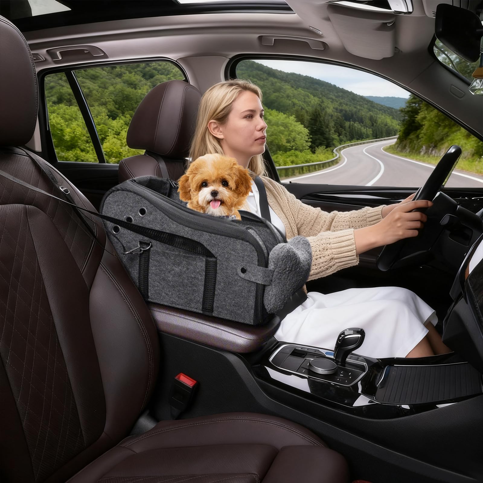 Hunde Autositz für kleine Hunde, Hundeautositz Hundesitz Auto Mittelkonsole mit Sicherheitsgurt, Verstellbarem Weichen Kissen, Tragbarer Hundebett Auto für Kleine Haustiere (B)