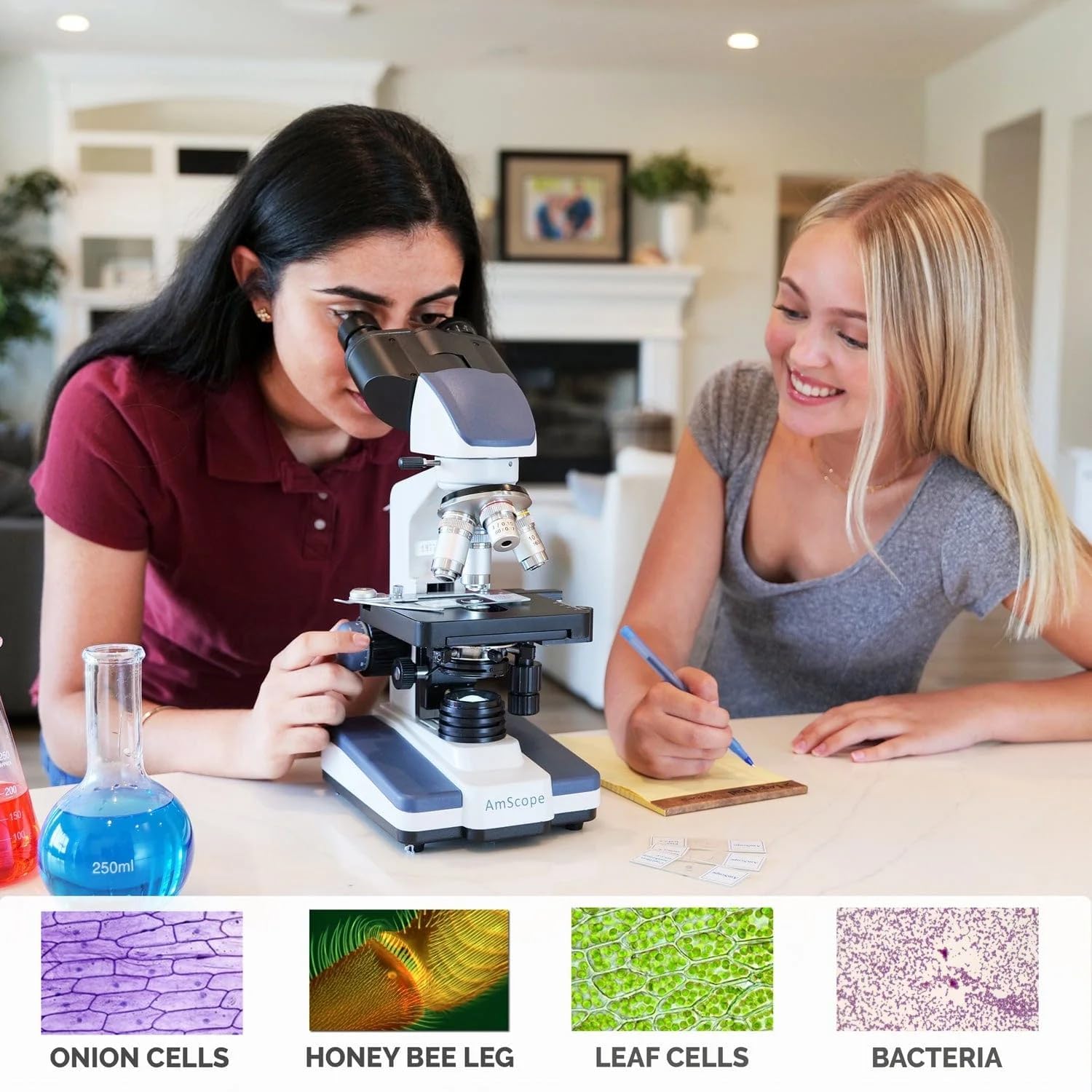 AmScope - Microscopio compuesto binocular digital LED 40X-2500X w etapa 3D + cámara USB 3MP - B120C-E3